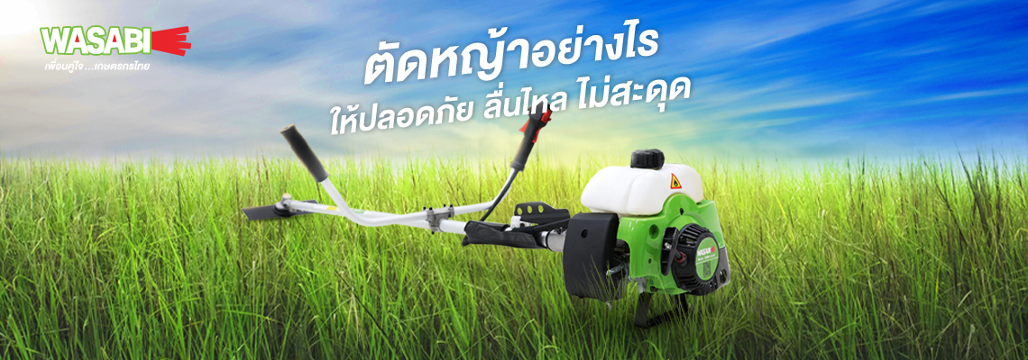 ตัดหญ้าอย่างไรให้ปลอดภัย ( เครื่องตัดหญ้า WASABI WAB-411M ) ตัดหญ้าอย่างไรให้ปลอดภัย ( เครื่องตัดหญ้า WASABI WAB-411M )