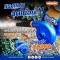 เครื่องเป่าลม WADFOW WAB15401 400W.