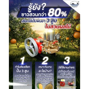 ปั๊มพ่นยาสามสูบ WHALE BEST LS-22C  ขนาดท่อ 3/4 (6หุน) ระบบธรรมดา (เฉพาะตัว)