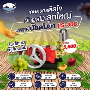 ปั๊มพ่นยาสามสูบ WHALE BEST LS-30C ขนาด 1" (ระบบธรรมดา) (เฉพาะตัว) ปั๊มพ่นยาสามสูบ WHALE BEST LS-30C ขนาด 1" (ระบบธรรมดา) (เฉพาะตัว)