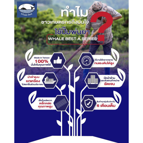 ปั๊มพ่นยาสามสูบ WHALE BEST LS-36C ขนาด 1" ระบบอัตโนมัติ (เฉพาะตัว) ปั๊มพ่นยาสามสูบ WHALE BEST LS-36C ขนาด 1" ระบบอัตโนมัติ (เฉพาะตัว)