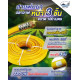 สายพ่นยานอก 100 เมตร WHALE 5/16" 8.5 mm.
